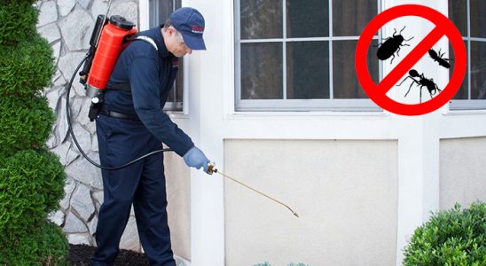 Gültepe Dezenfeksiyon böcek ilaçlama ve haşere kontrolü — ilaclama-tr.com
